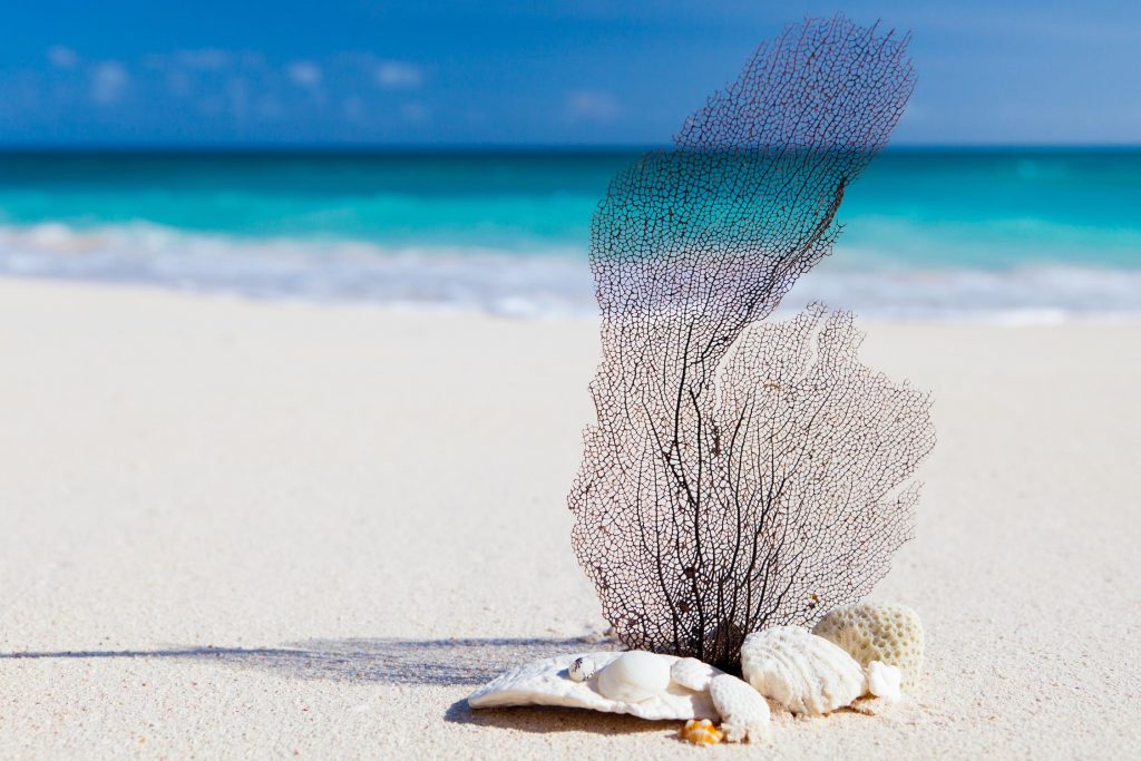 Pefkoulia beach turquoise waters Lefkada